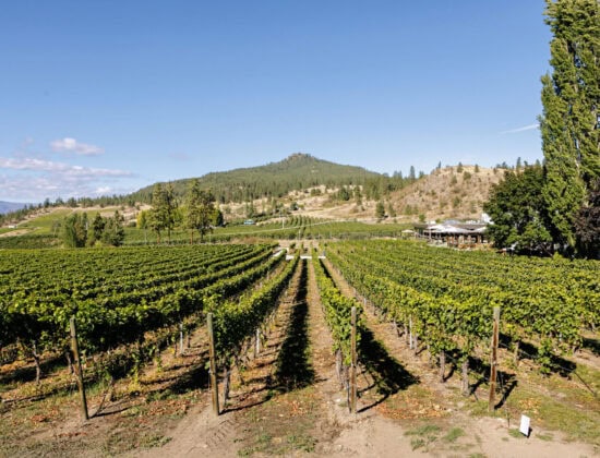 Peak Cellars