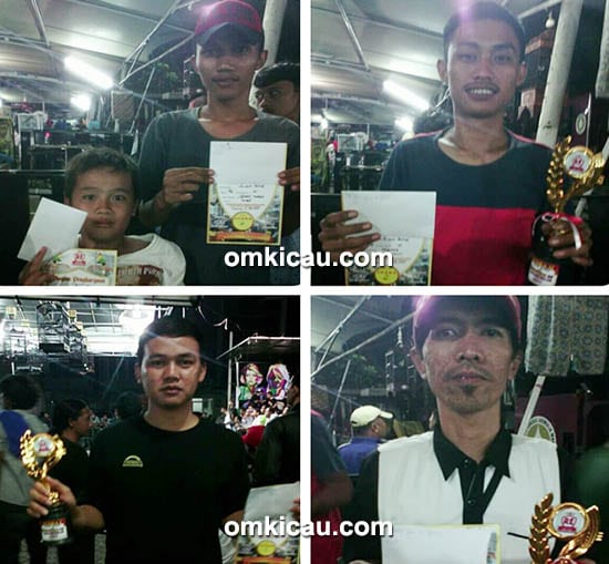 para juara di kelas lovebird