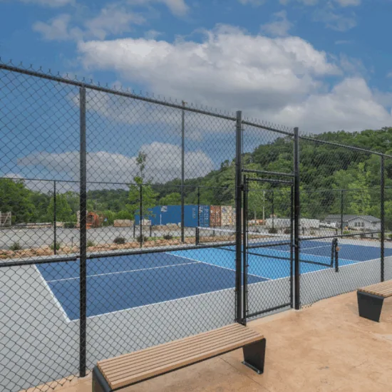 Pickle ball court in Smoky Mountain Cabin Rentals