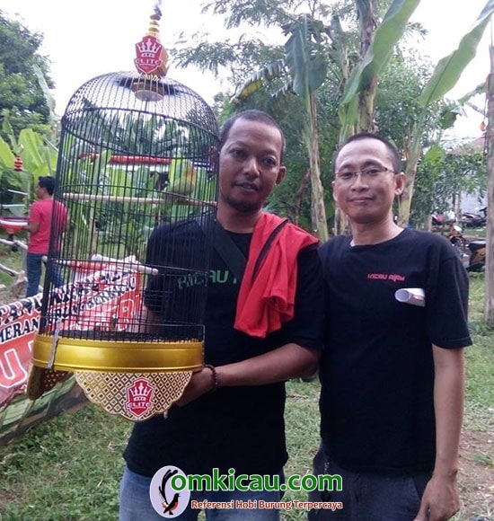 lovebird Mirza