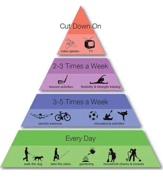 Exercise for health and wellness