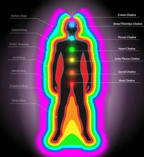 snhs Aura & Chakra Healing Course