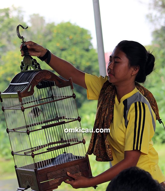 Kicaumania perempuan