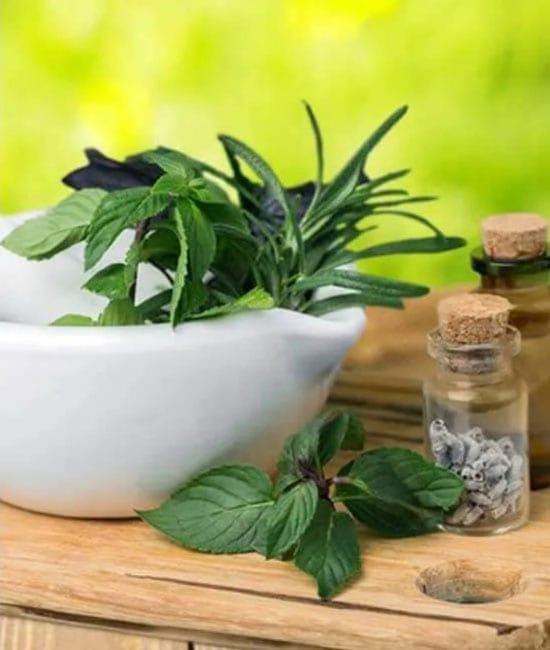 herbalism-2x1