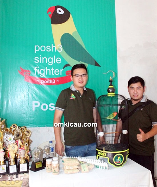 Breeding lovebird Posh3 BF Jakarta