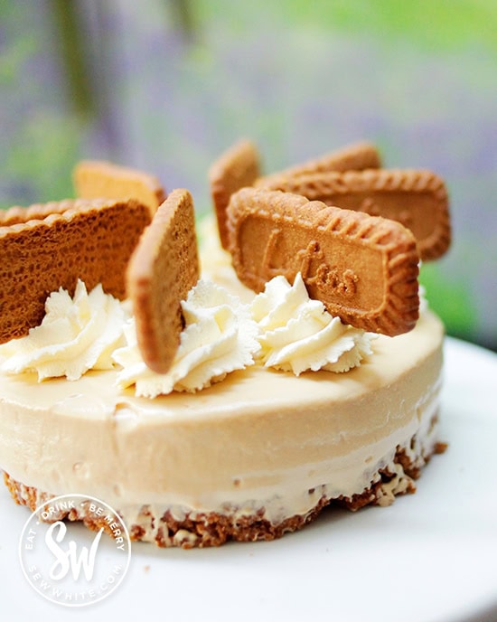 The most epic Biscoff Cheesecake ready to serve on a summer day.