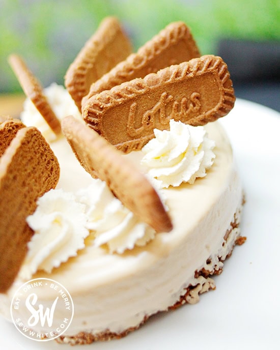 An easy to make soft and silky cream cheese Biscoff Cheesecake decorated with Biscoff biscuits. 