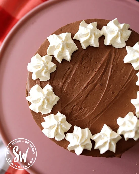 Chocolate cheesecake on a pink plate