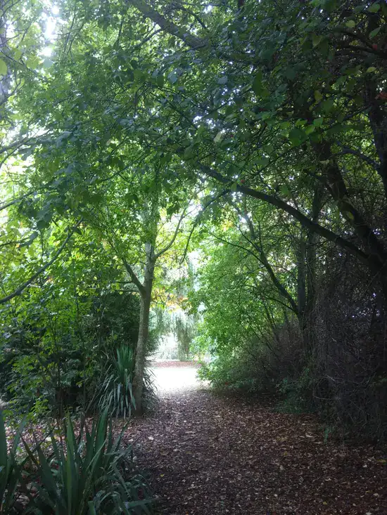 Paisaje verde