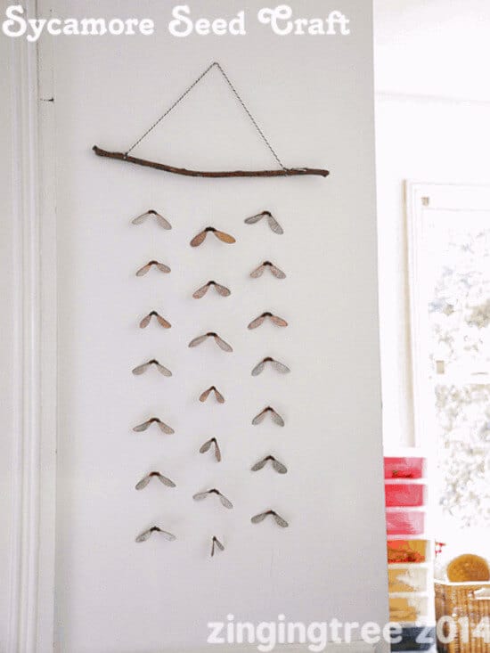 helicopter wall decor for kids made with seeds from nature