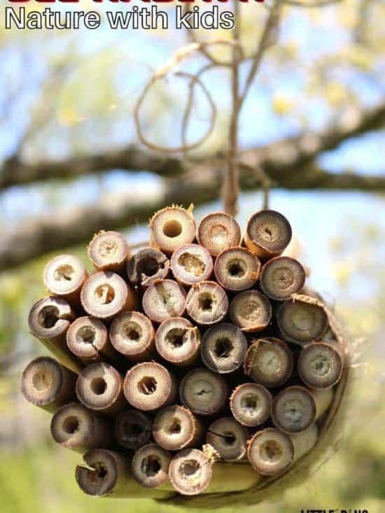 how to make a bee house