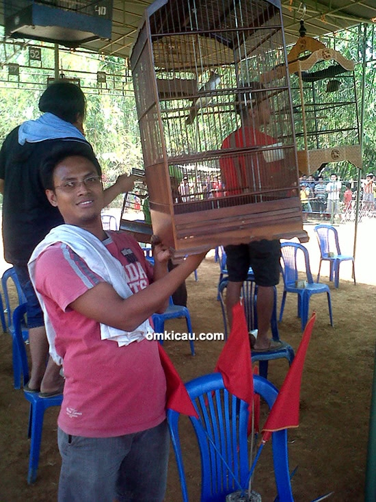 Om Mekrey, spesialis cucak jenggot