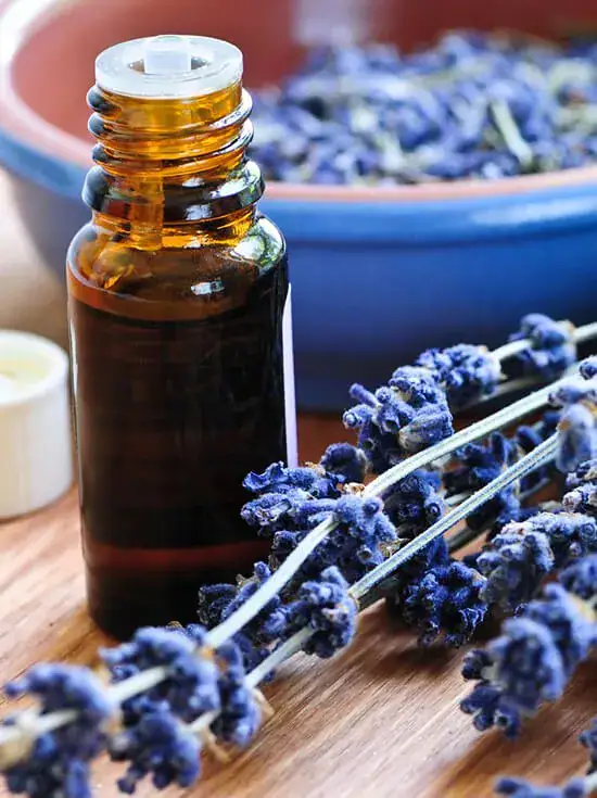 Advanced Aromatherapy course at The School of Natural Health Sciences