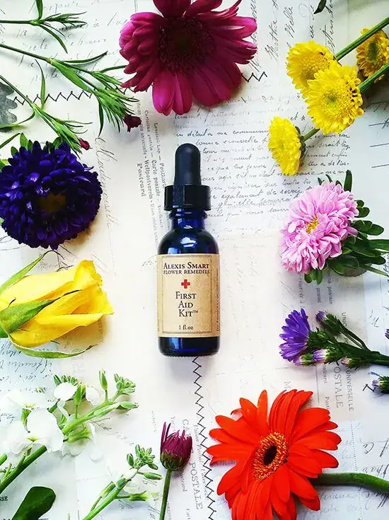 Advanced Flower Remedies courses at The School of Natural Health Sciences