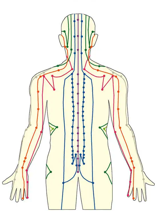 Meridian Psychotherapy courses at The School of Natural Health Sciences