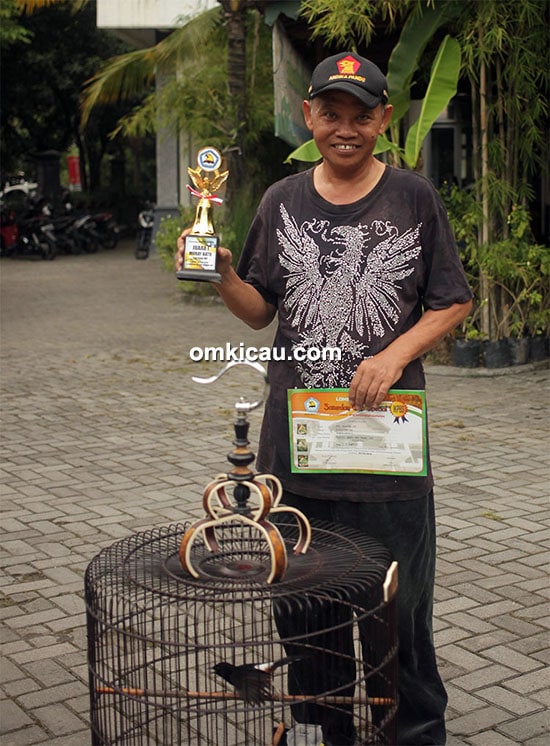Om Mardi dan murai batu Metropolis