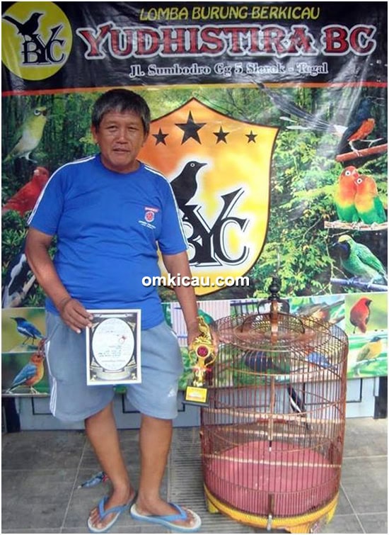 Om Alex MTH dan kacer Bajing Ireng MTH