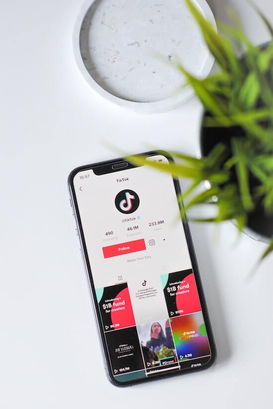 Reinstall-your-TikTok-App