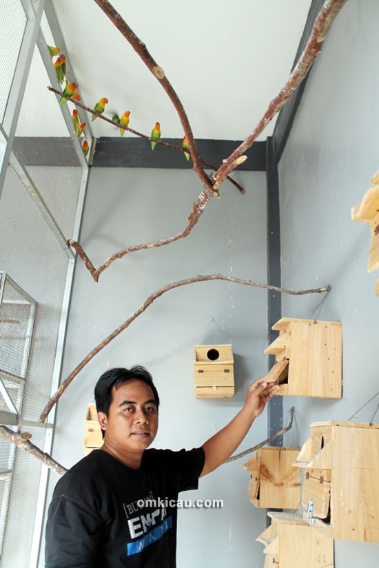 Om Bayu - Ebod Jaya Farm
