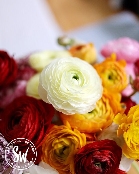 By Bloom close of ranunculus in the Be Merry Gift Guide