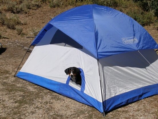 tent-with-a-dog-door