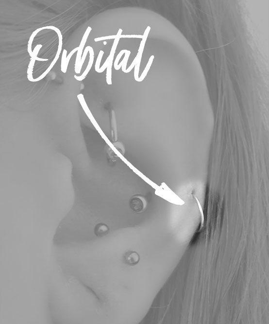 orbital ear piercing