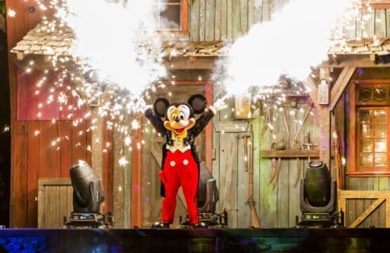 vacation rentals near Disneyland by Stay Hello Sunshine