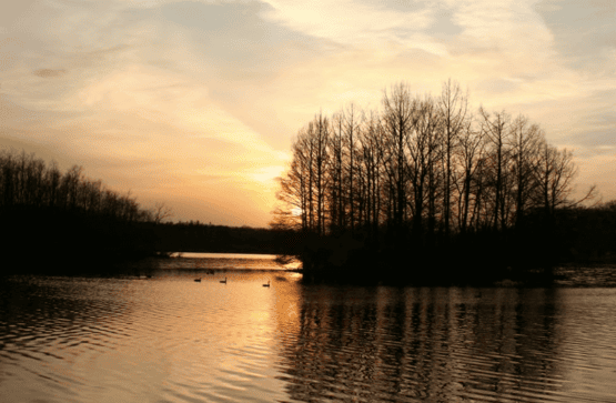 ADA CAMPING IN ILLINOIS | ACCESSIBLE CAMPGROUNDS FOR PEOPLE WITH DISABILITIES 6_2021 moraineview