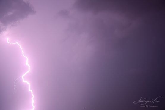 Thunderstorm above Monthey, Valais