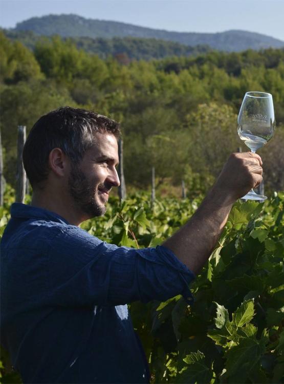 Igor Radovanović Winemaker i enolog Merga Victa i Dalmatian Dog vinarije