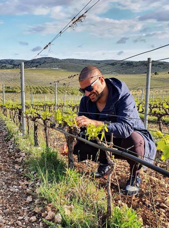 Juraj Sladić Winemaker i enolog Testament vinarije