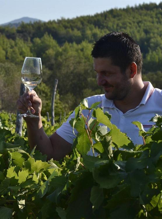 Nikola Mirošević Winemaker i enolog Merga Victa i Dalmatian Dog vinarije