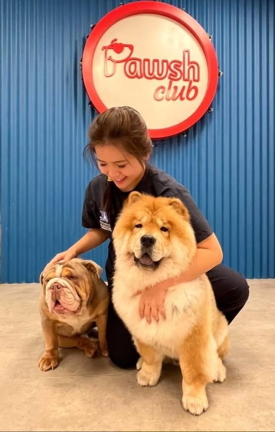 Pawsh Club4
