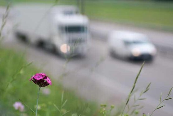 Alerte Pollution à Tarbes et Lourdes