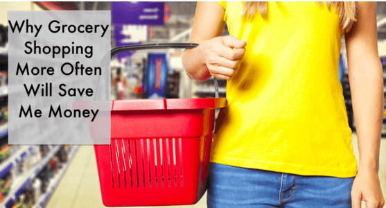 Update #1 &ndash; Why Grocery Shopping More Often Will Save Me Money