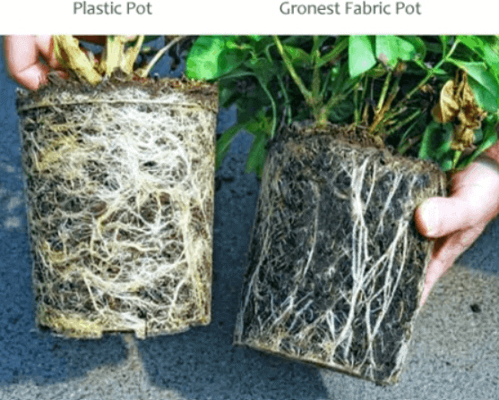 Gronest Vaso in Geotessile - immagine 3