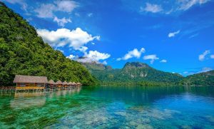 penerjemah tersumpah maluku