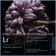 Adobe Photoshop Lightroom CC 6.8 (2015.8)