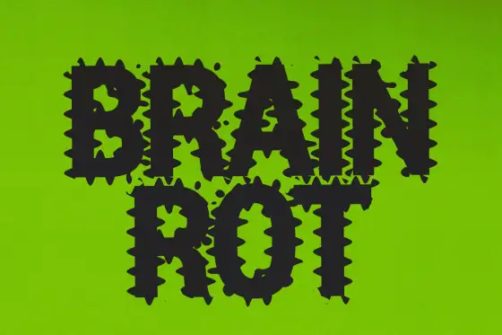 Brain rot collectables