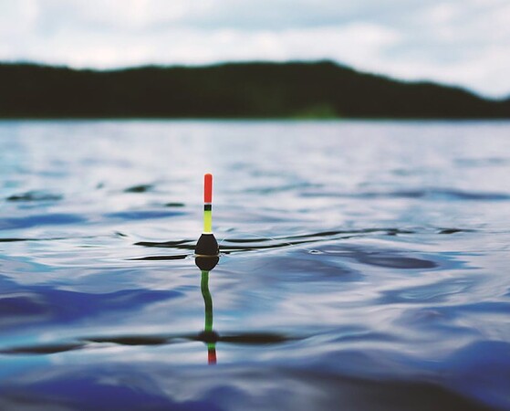 Vibrant fishing float gently resting on a serene blue water surface, ideal for travel and nature themes.