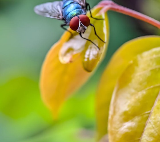 footer-cta-img pexels photo 14767953