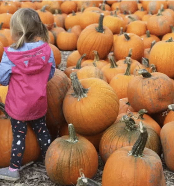 Screen Shot 2025 11 13 at 4.25.54 AM