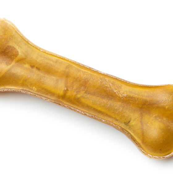 AdobeStock 157578868