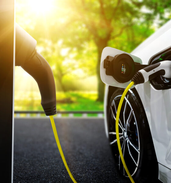 AdobeStock 463094785