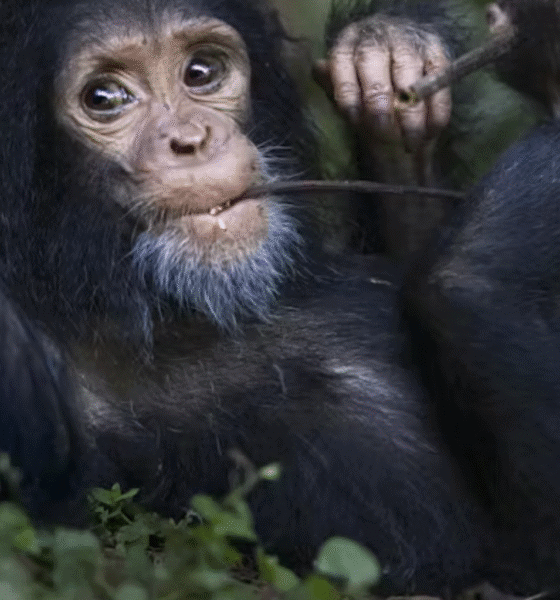 Screen Shot 2025 12 13 at 8.26.05 AM