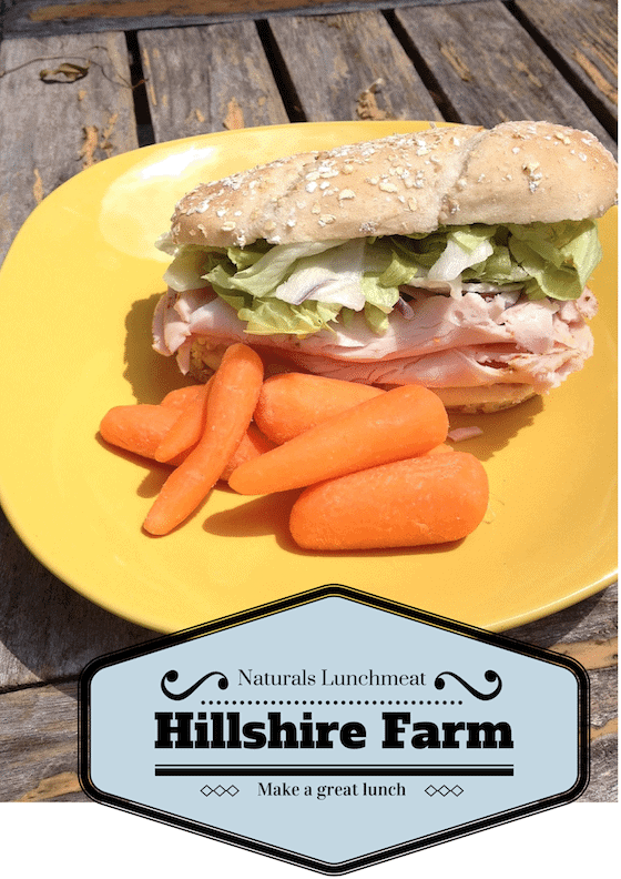 Hillshire Farms (1)