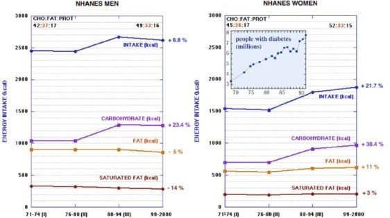 From Fats to Carbs to Metabolic Syndrome