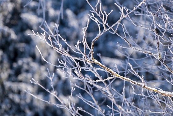 Froid Historique sur la France