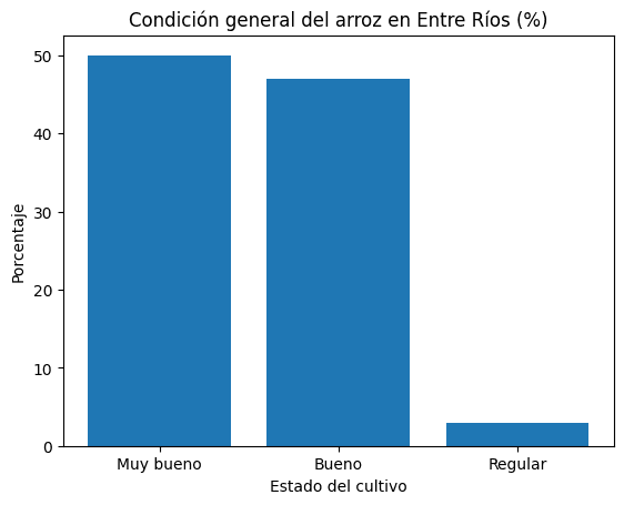 El arroz entrerriano avanza con buenas perspectivas en la campaña 2025/26 - Injerta | Comunicación y difusión agropecuaria de Entre Ríos