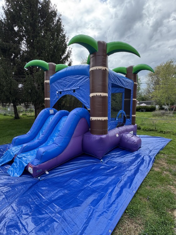 Enchanted forest wetdry combo